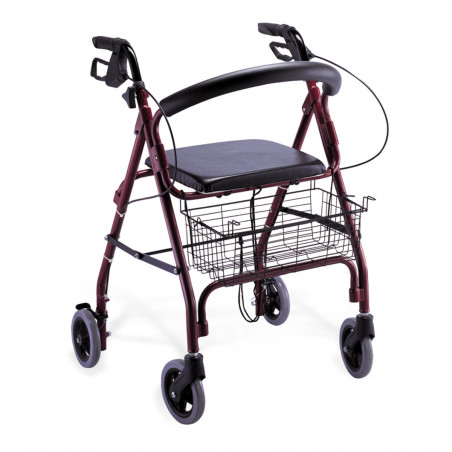 ANDADOR DE ALUMINIO FRENOS EMPUÑADURA