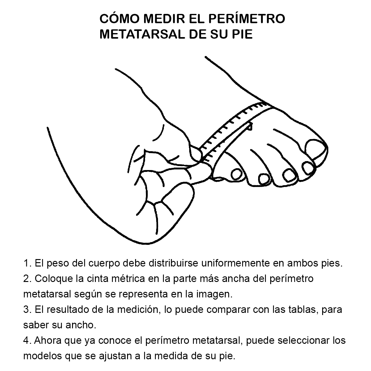 perimetro%20metatarsal.jpg